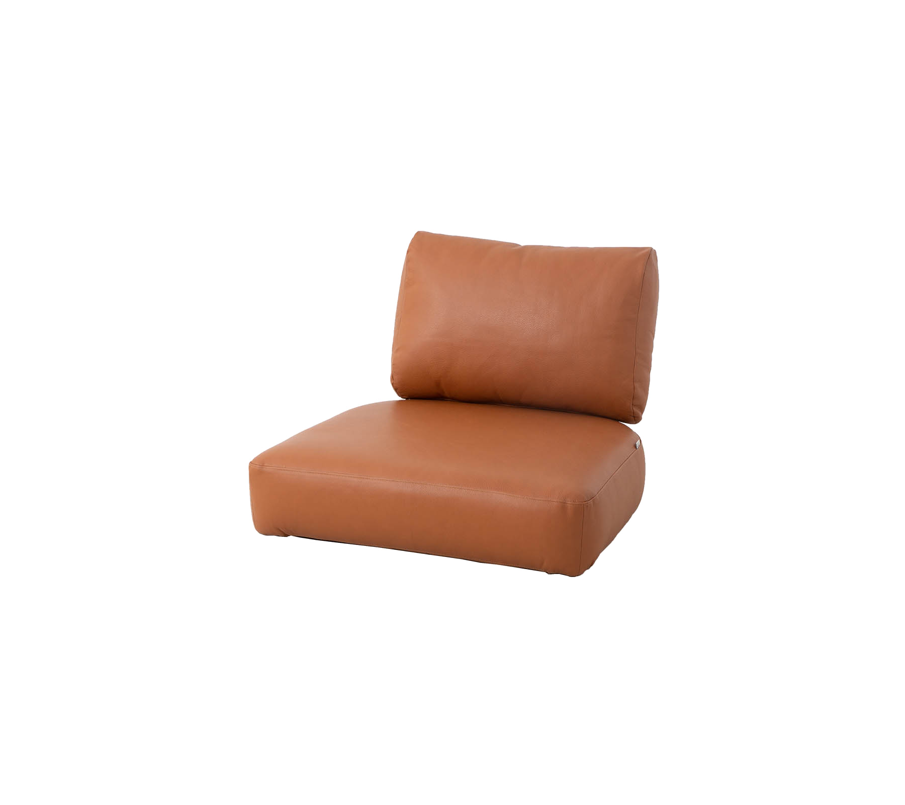 Brown leather cushion with a plush backrest, designed for comfort and style. Ideal for contemporary seating arrangements.
